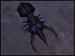 Shock Roach